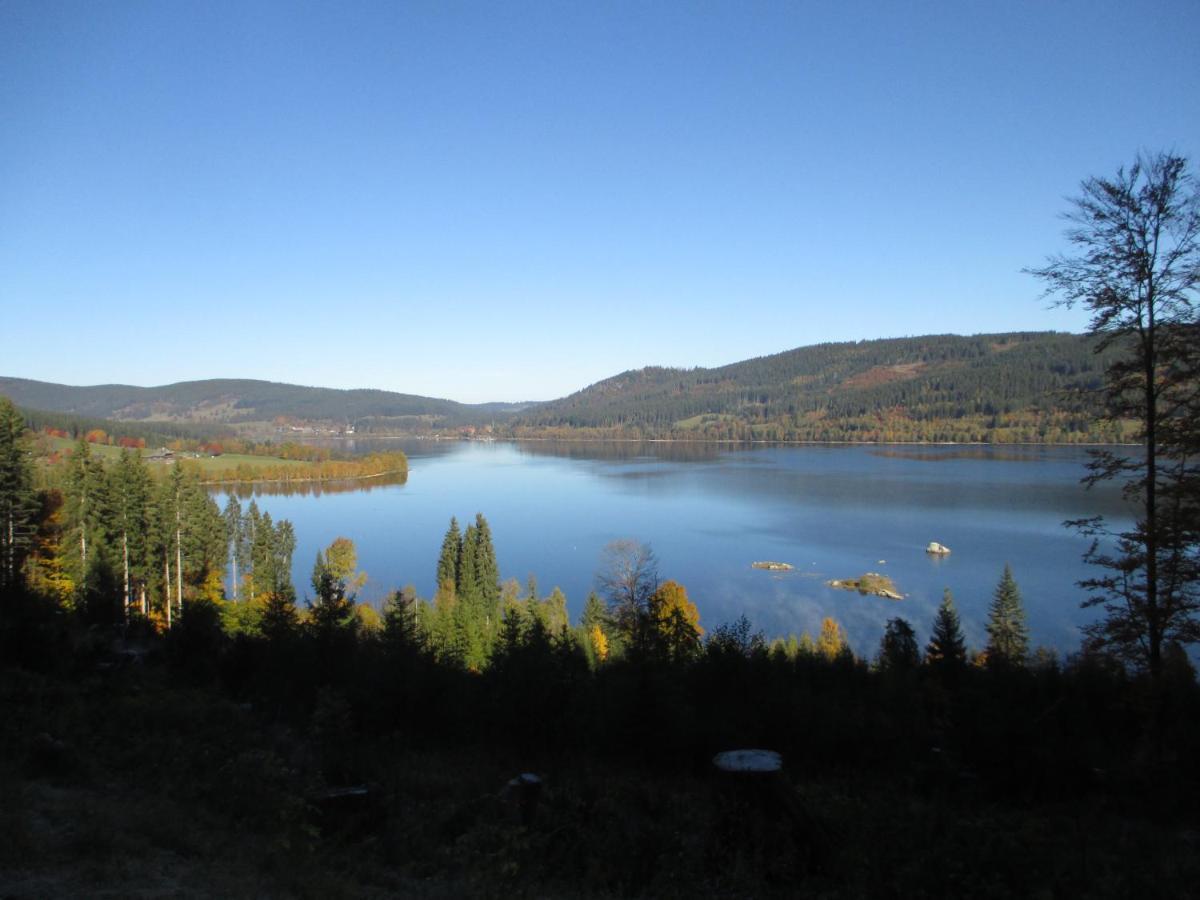 Haus Steininger Leilighet Schluchsee Eksteriør bilde